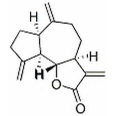 去氫木香內酯