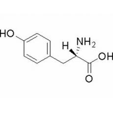 L-酪氨酸