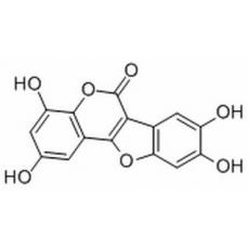 異去甲蟛蜞菊內脂