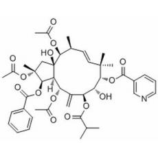 2,5,14-三乙酰氧基-3-苯甲?；趸?8,15-二羥基-7-異丁酰氧基-9-煙酰氧基氧基-6(17),11E-麻風樹屬二烯